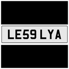 LESLEY A THEME LES LEZ LESLIE