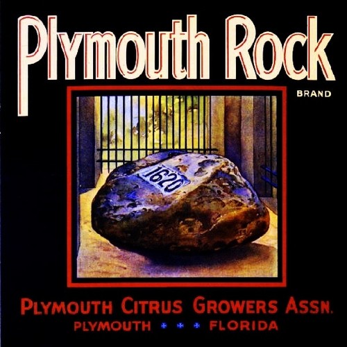 Plymouth florida rock - plymouth,