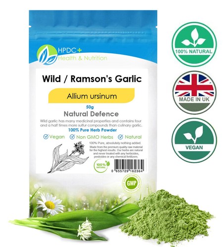 Wild ransoms garlic allium - garlic,