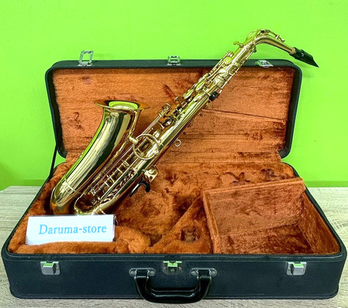 Yanagisawa 500 alto sax - a-500,