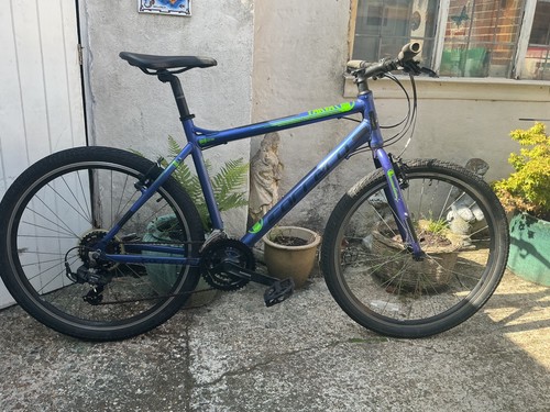 Carrera parva ltd edition - parva,