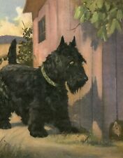 SCOTTISH TERRIER WATCHING RAT VINTAGE 1950'S WESLEY DENNIS DOG ART PRINT