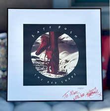 KATE BUSH ~ The Red Shoes