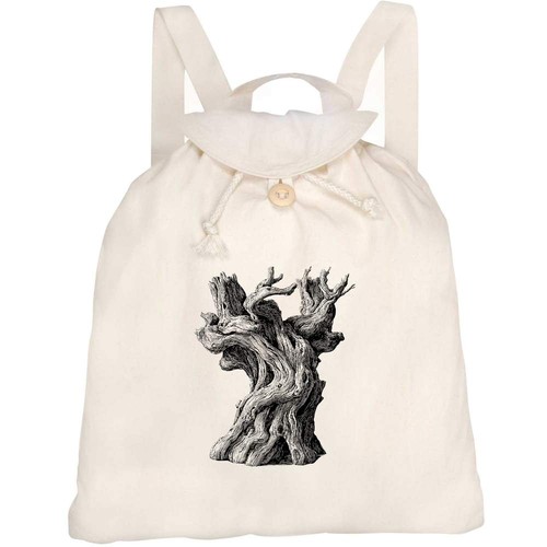 Old olive tree trunk - olive,