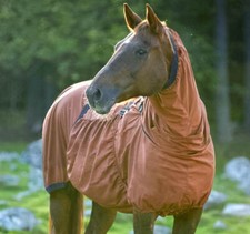 Boett Eczema Blanket Sweet