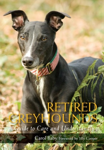 Retired greyhounds carol - retired,