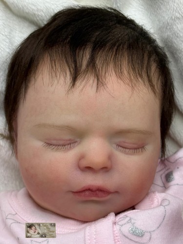 Pbn bargain reborn baby - pbn***,