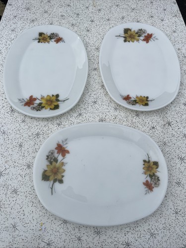 Jaj pyrex autumn glory steak - jaj,