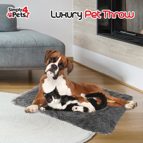 Luxury dog cat - cat, throw