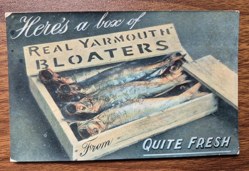 1908 humorous postcard real - postcard, “real