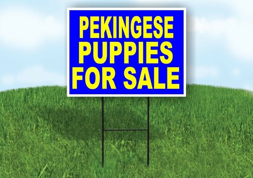 Pekingese puppies for sale - pekingese,