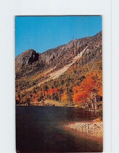 Postcard profile lake - postcard,