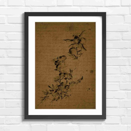 Botanical fruit branch sketch - botanical,