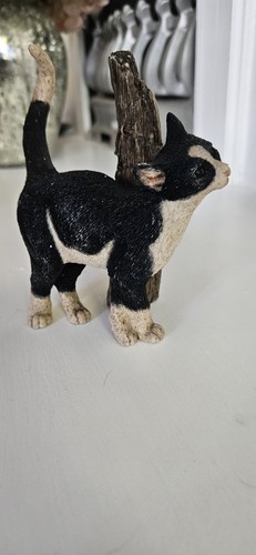 Sherratt simpson cat - sherratt,