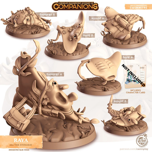 The stingray companion - the,