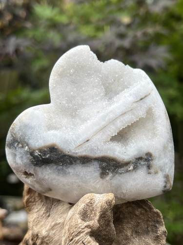 Zebra stone druzy - stone, large