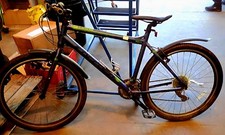 SERVICED CARRERA