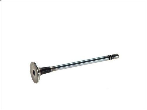 Intake valve freccia r6397 - intake,
