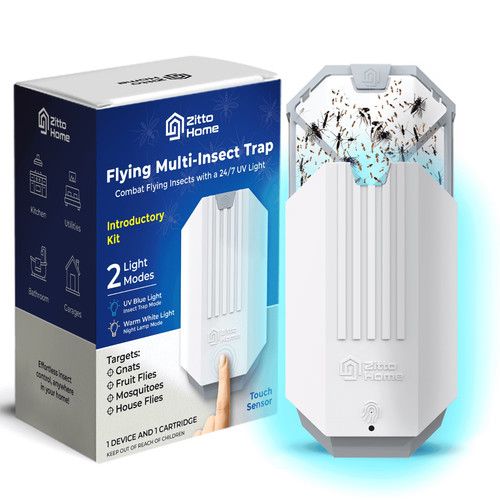 Zitto home flying insect - flying,