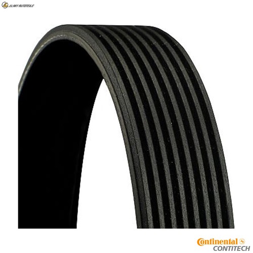 Ribbed belt 8pk1310 extra - v-ribbed,