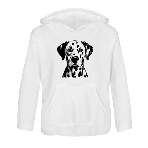 Dalmation dog portrait - dog, portrait'