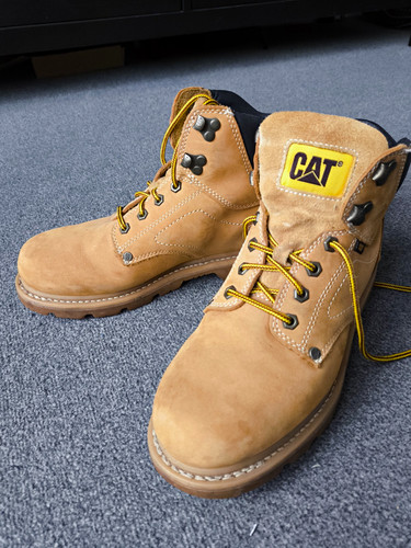 Cat men tan - cat,