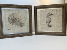 Austin James Coastal Study