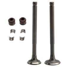 69MM VALVE SET INLET & EXHAUST