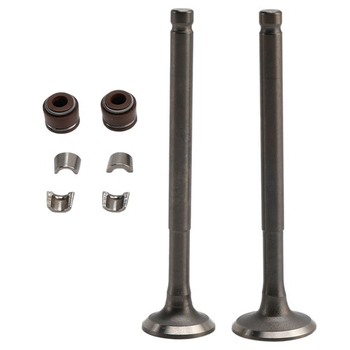 69mm valve set inlet exhaust - 69mm, &