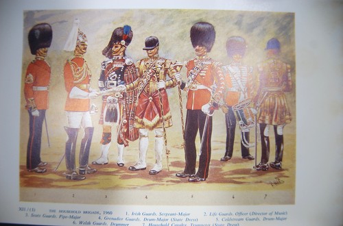 1960 household brigade irish - brigade,