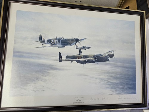 Memorial flight print - 'memorial, flight'