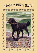 FLAT COATED RETRIEVER DOG