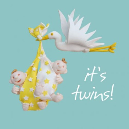 Twins new baby grandson - it's,