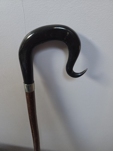 Shepherds crook walking - crook, stick