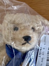 ? Steiff Bunny Campione Teddy Bear 662232 - 218 of 2500 - Retired - Mohair