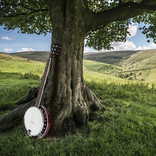 String banjo full - banjo,