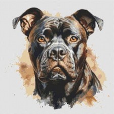 American Bully Puppy Dog