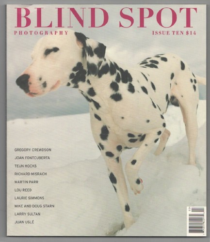 Blind spot gregory - gregory, crewdson