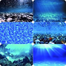 3D Fish Tank Background
