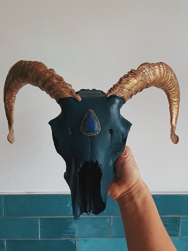 Ram skull decor - skull,