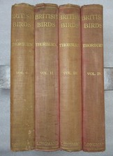 BRITISH BIRDS - Archibald