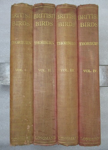 British birds archibald - british,