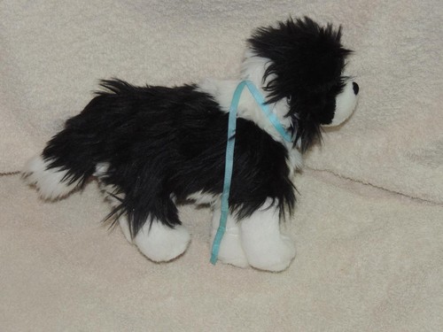American girl saige pet - saige's,