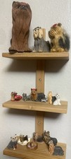 GROUP OF 15  YORKSHIRE TERRIER