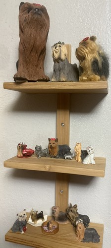 Group yorkshire terrier - group, 15