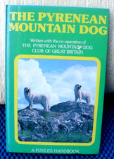 The pyrenean mountain - mountain, dog-