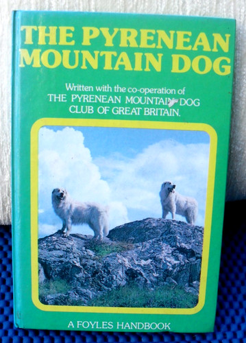 The pyrenean mountain dog - pyrenean,