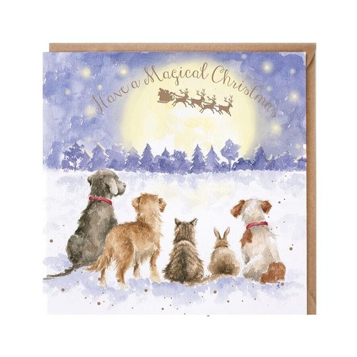 Santa dogs cat and - dogs, xmas