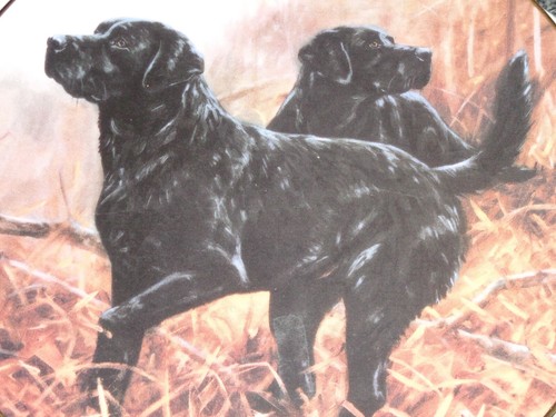Lovely royal doulton franklin - lovely,