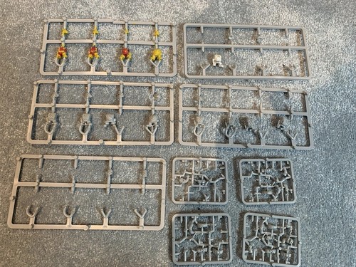 Space dwarfs squats plastic